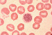 Krevní elementy-Lymfocyty.gif
